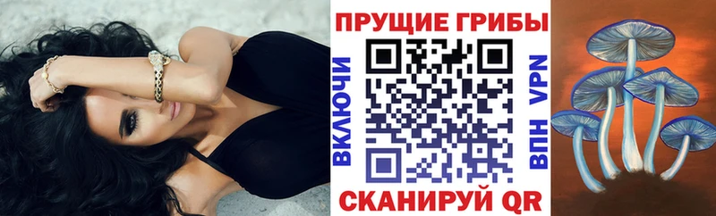 Галлюциногенные грибы GOLDEN TEACHER  Староминская 